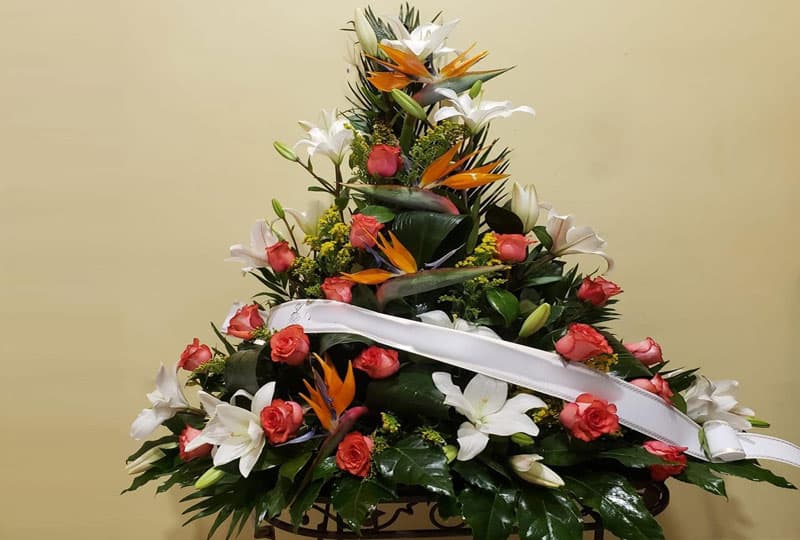 Centros funerarios en Salceda de Caselas