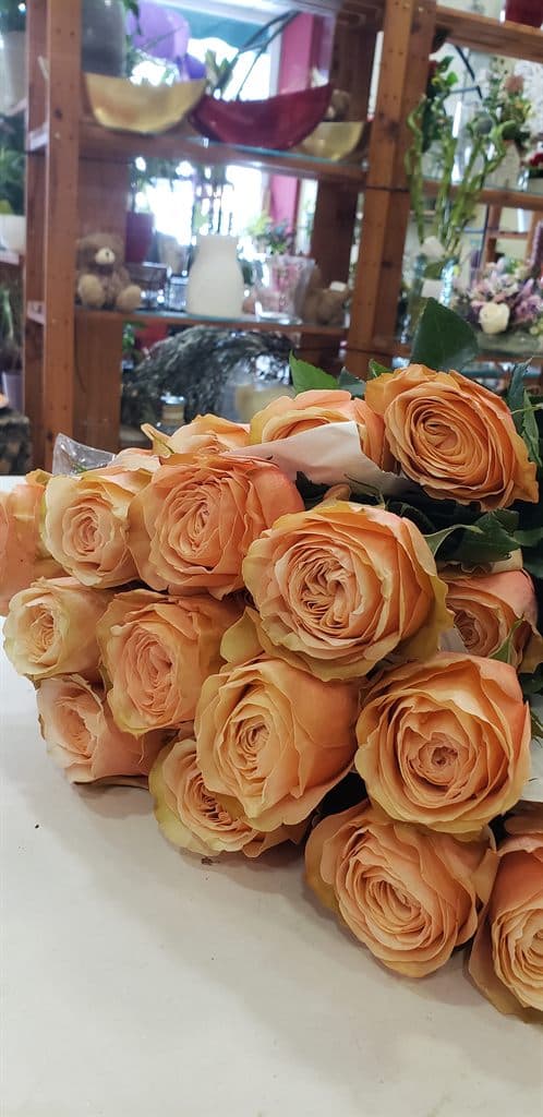 Rosas naranjas frescas disponibles en Salceda de Caselas